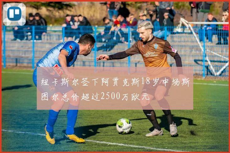 纽卡斯尔签下阿贾克斯18岁中场斯图尔总价超过2500万欧元